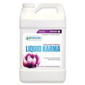 Liquid Karma Gal