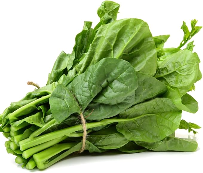 Live Malabar Spinach Plant Potted 5 to 7 Inch Long Vegetable Plant Live for Gardening Outdoor