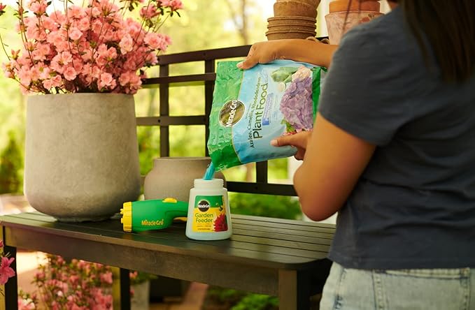 Miracle-Gro Water Soluble Azalea Camellia Rhododendron Plant Food - Fertilizer for Acid-Loving Plants &amp Flowers 5 lb. (Pack of 6)