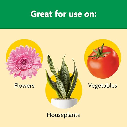 Miracle-Gro Shake 'N Feed All Purpose Plant Food - Outdoor and Indoor Plant Food for In-Ground and Containers Feeds for up to 3 Months 8 lbs.