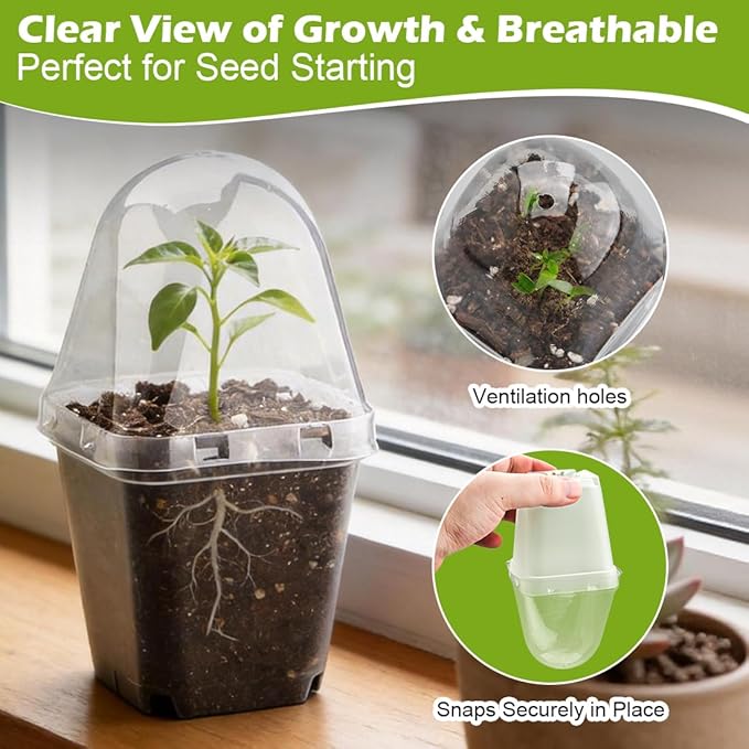 2.7 Inch Square Nursery Pots with Humidity Dome 60 Packs Clear Seedling Pots with Drainage Holes Reusable Propagation Pots Small Plant Container for Indoor Outdoor Gardening