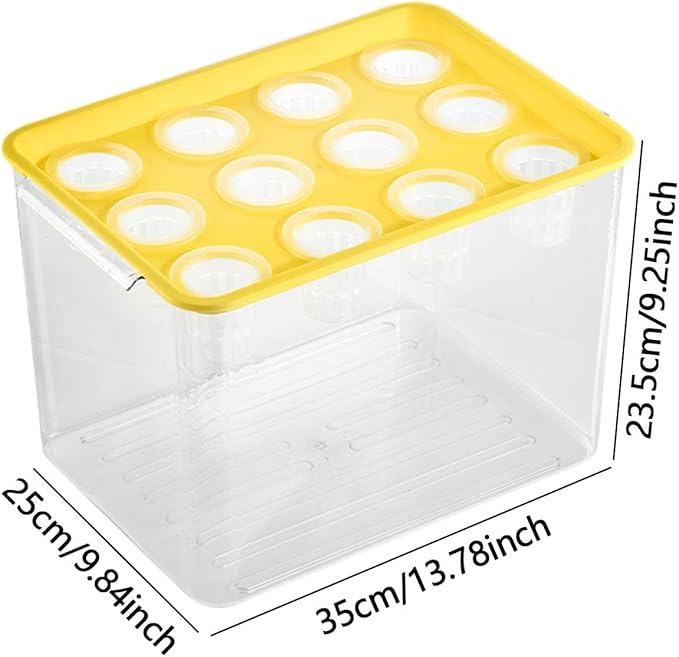 Hydroponic Growing System Microgreens Growing Kit Practical Easy to Use Transparent Hydroponics Grower Kit for Home Planting Yellow Lid