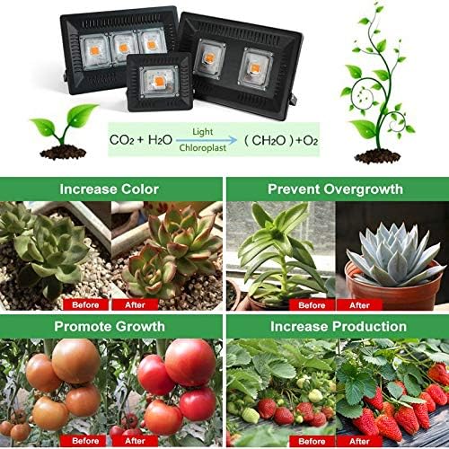 Fengyan Landscape lights LED Grow Light 50W 100W 150W AC 220V LED Lamp PhytoLamp For Plants Flower Seeding IP65 Waterproof Full Spectrum Plants Lamp LED Street Lamp ( Emitting Color : 220V 100W )