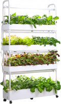 Hydroponics Growing System Hydroponics Growing Set with Grow Light Adopt Tidal Irrigation System Aluminum Alloy Pipe for Fruits Vegetables