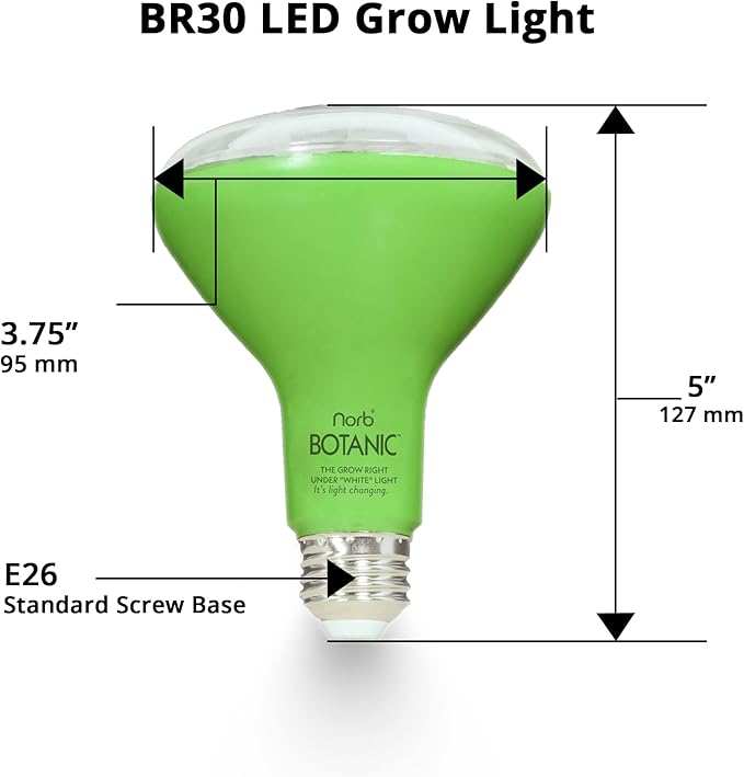 Norb NorbBOTANIC BR30 LED Grow Light – Full-Spectrum Sunlight Bulb for Indoor Plants - 14W Energy-Efficient Grow Lamp for Indoor Houseplants Herbs Seedlings &amp Tropical - E26 Base (2-Pack)