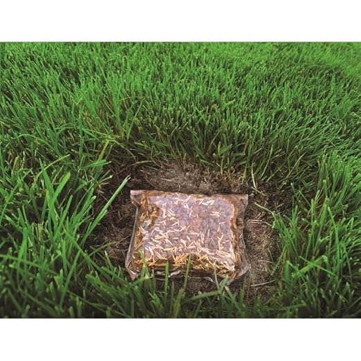 GRASS RAPID POD S/S 15PK