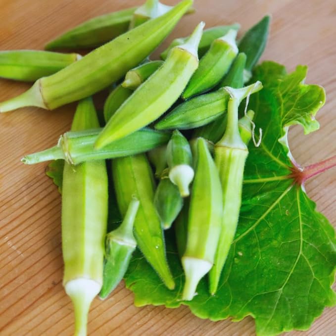 2 Green Okra Plants Live 4 Inc Potted Okra Live Plant Vegetable Plants Live 5 to 7 Inc Tall