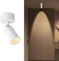 Adjustable Ceiling Spotlight 5w Spot Light Exposed Mounted Led Flush Mount Lights Directio l Spotlights Accent Lighting Artwork Display Lamps