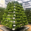 Commercial Grade 9 Layer 196 Hole Pyramid Plant Grow Kit Hydroponic Tower System