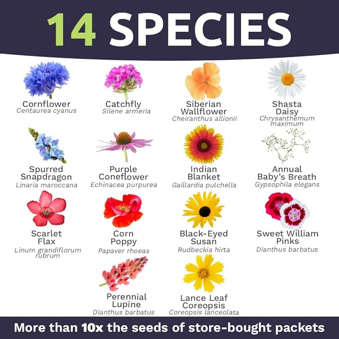 Sweet Yards - Northeast Wildflower Seed Regional Mixes - Bulk 1/4 Pound Bag - Over 30000 Native Seeds - Open Pollinated and Non GMO Varieties for New York Virginia Pennsylvania Maine and More!