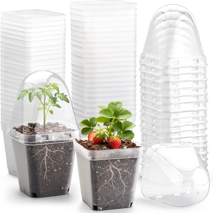 2.7 Inch Square Nursery Pots with Humidity Dome 60 Packs Clear Seedling Pots with Drainage Holes Reusable Propagation Pots Small Plant Container for Indoor Outdoor Gardening