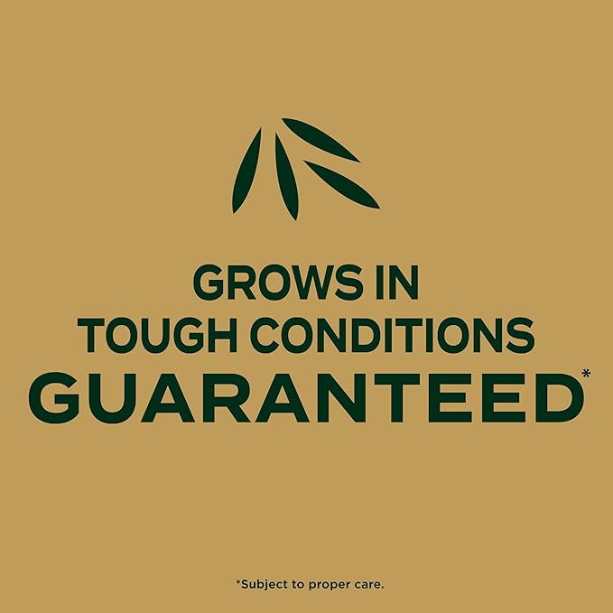 Scotts EZ Seed Patch and Repair Zoysia Grass Combination Mulch Grass Seed and Lawn Fertilizer 3.75 lbs.