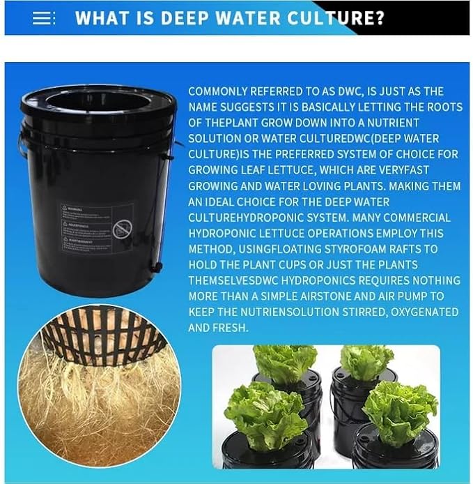 GROZY Hydroponics Growing System 5 Gallon DWC hydroponic System kit 20L One Bucket DWC Kit with 20cm Net Pot 120V Air Pump Air Stone &amp Water Level Indicator Indoor Garden