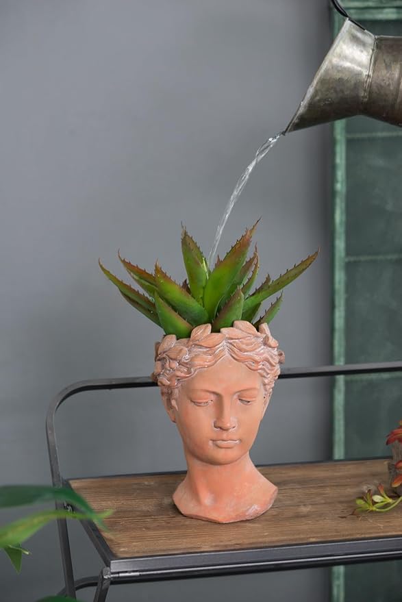 D7x11 Visage Head Bust Planter Brown