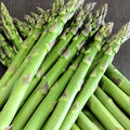 20 Green Asparagus Roots - Bare Root Asparagus Crowns for Planting Perennial Vegetable Plants for Outdoor Garden