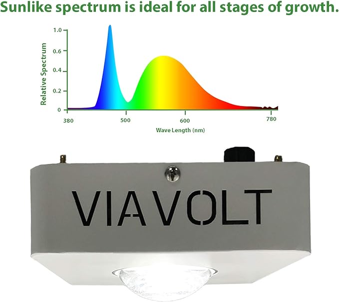 Grow Light 6500K Full Spectrum Cree COB LED 65 Watts12000 Lumens