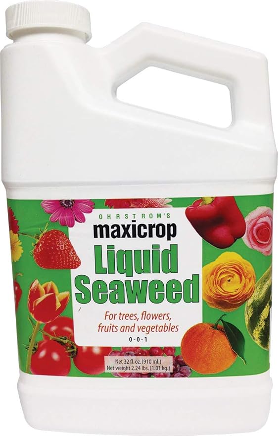 Maxicrop Original Liquid Seaweed 1 Gallon (Packaging May Vary)