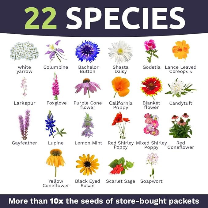 Deer Resistant Wildflower Seed Mixture - Bulk 1/4 Pound Bag - Over 60000 Deer Tolerant Seeds - Open Pollinated and Non GMO