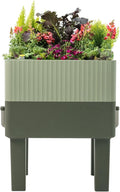 Vego garden EZCube Self Watering Planter Box with Legs 29 Elevated Raised Garden Bed with Water Gauge for Patio Backyard 21 x 24 Sage Green