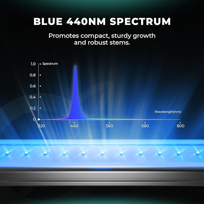 MARS HYDRO ADlite Red55&ampBlue55 Led Grow Lights for Increased Plants Yield 440nm &amp 660nm Spectrum Grow Light 4x4 FT Coverage 55Wx2 Supplemental for FC6500/FC-E6500/FC8000/FC-E8000/FC1000W/FC-