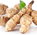 5 Large Jerusalem Artichokes Tubers for Planting Fresh Sunchokes Sunroots Hardy Edible Perennial Roots for Outdoor Vegetable Garden