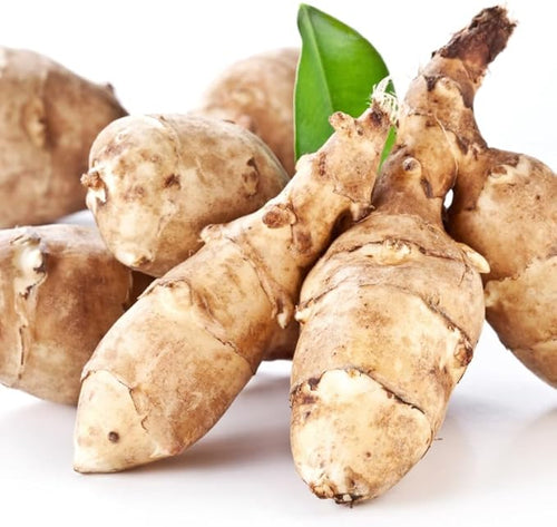 10 Jerusalem Artichoke Tubers Sunchokes Sunroots for Planting Large Size Hardy Perennial Artichoke Roots Vegetables for Garden