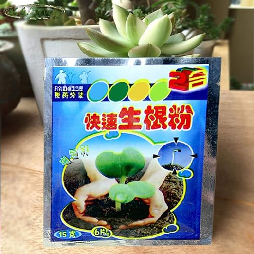 Rooting Powder for Cuttings Root Hormone Root Stimulator Fertilizer and Soil Improver Grow New Plants from Cuttings for Indoor Plants Shrubs Lawn Fruit Vegetables 10g 10PCS 20Pcs 50Pcs(10g*50PCS)