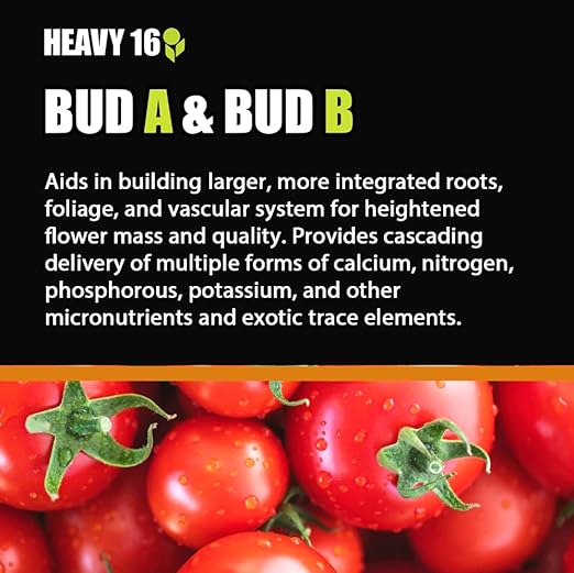Bud A B &amp Foliar Spray 32OZ (1L) KIT