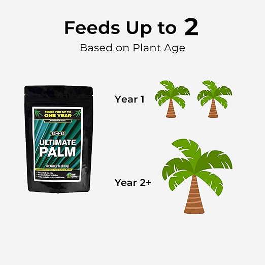 Real Growers Ultimate Palm Tree Fertilizer 12-4-11 – 12 Month Slow Release Granular Plant Food for Indoor &amp Outdoor Palms Sago Palm &amp Cycads – 2 lb