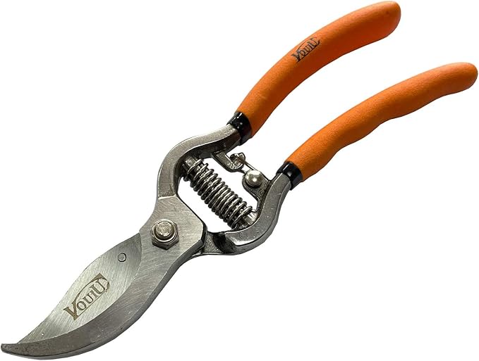 5-Piece Bonsai Tool SetBonsai ScissorsConcave CutterKnob CutterWire Cutter