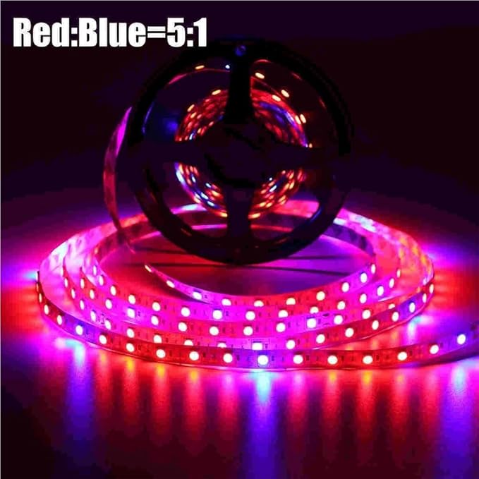 Fengyan Landscape Lights 5m LED Strip Plant Grow Lights Waterproof Full Spectrum Flower Phyto Lamp Red Blue 5:1 for Greenhouse Hydroponic LED Street Lamp (Emitting Color : 5M 300LED)