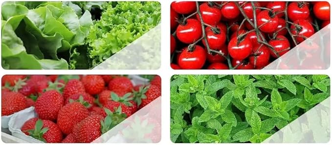 30 Plants Hydroponic Growing System Kit Tower Outdoor Indoor Vertical Hydroponic Garden Towers Soilless Growing Suitable for Cultivating Herbs Vegetables and Fruit Growing