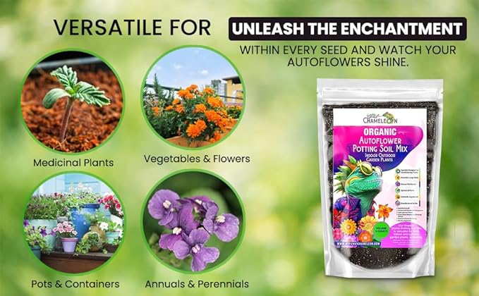 Organic Autoflower Potting Soil Mix – Ready-to-Use Living Soil No Fertilizers Needed – Balanced Nutrients Light Texture Excellent Drainage Boosts Germination &amp Root Growth (3 quarts)
