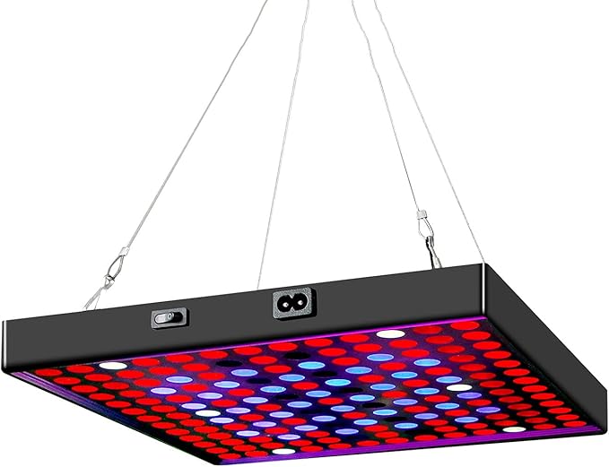 Full Spectrum Plant Light 800W 1500W Phyto Lighting Seedling Lamp for Hydroponics Vegetable Flower LED Growing Lamps81leds