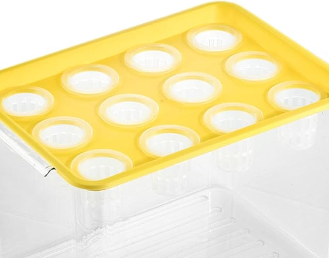 Indoor Hydroponics Tool Hydroponic System Growing Kit Microgreens Growing Kit for Indoor Yellow Lid