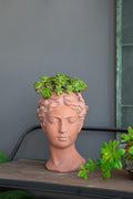 D7x11 Visage Head Bust Planter Brown