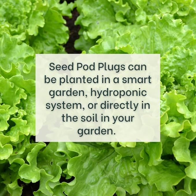 Gourmet Looseleaf Lettuce Blend - Complete Seed Pod Plugs with Plant Food - 10 Pods for Hyrdoponic Gardens Click and Grow Lettuce Grow and Outdoor Gardens