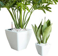 2 Pack Smart Self Watering Planter Pot for Indoor and Outdoor White Square Cone