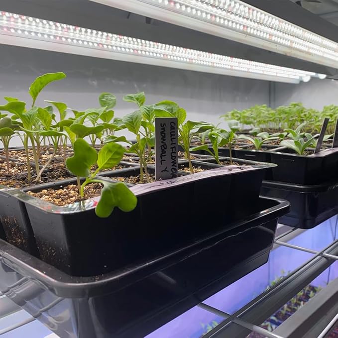 Active Grow Integrated Dual T8 4FT LED Grow Light - T8 Grow Lights for Indoor Plants Seed Starting &amp Microgreens - 38W - Sun White Pro Full Spectrum - Linkable - 120-277V
