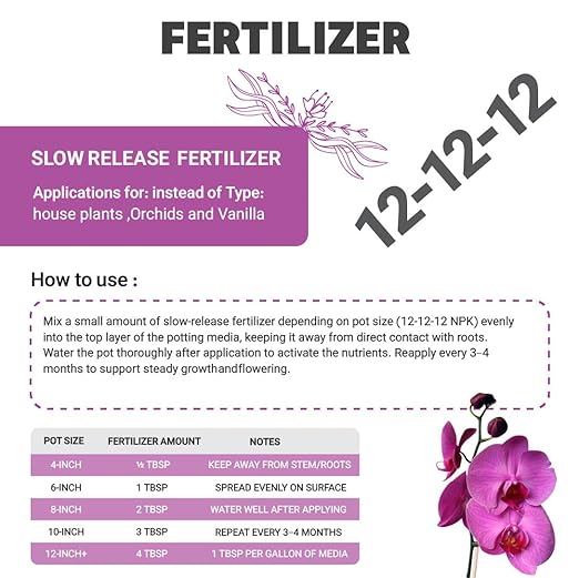 GROW24 Vanilla Orchid Starter Plant kit 4-inch Pots Plus Media Mix and Slow Release Fertilizer (1)