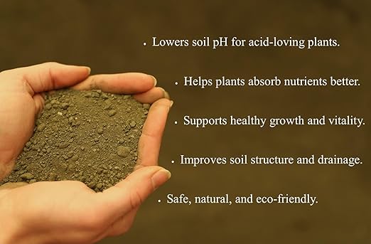 Greensand 5 Pounds – Natural Fertilizer for Healthy Soil Rich in Potassium &amp Iron Great for Gardens Lawns &amp Growing - Lancaster Agriculture Products