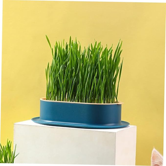 VICASKY 4Pcs Hydroponic Catnip Planter Box Set Soilless Cat Grass Growing Kit Detachable Tray for Indoor Cats Creative Design
