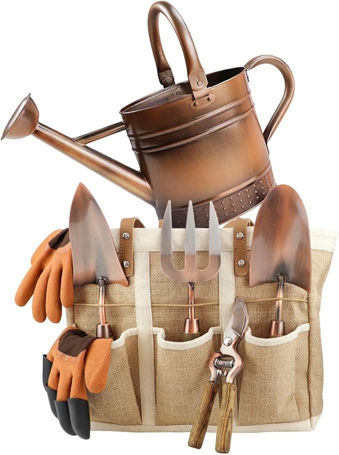 1 Gallon Galvanized Steel Watering Can with 3 Pcs of Garden Tools 1 Pc of Pruning Shear 1 Pair of Gardening Gloves1 Pc of Garden Tools Organizer Tote