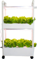 Hydroponics GardenIndoor Vertical Farming Garden Planter Smart Herb Garden with Timing Plug Automatic Watering for Home Indoor Gardening System(with Light2 Layer)
