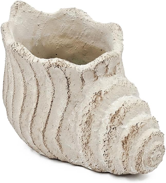 9x5.5x5.7 Sand and Cement Conch Planter with Textured Beige