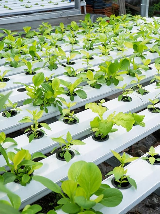 1.5inch Hydroponics Cubes 72 Set Cubes with 72 Net Cups 30 Label Good Absorption Hydroponics Mesh Net Cup Kit for Hydroponics Soilless Cultivation Seedlings Cuttings Clone Plants