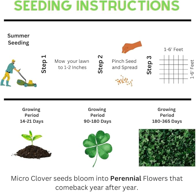 Micro Clover - (8oz) Nitro-Coated 120000 Total Seed - Covers Up to 1000 Sqft! Transform Your Lawn with Seeds that are Eco-Friendly Low Maintenance and Drought-Tolerant.