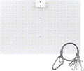 Pl Lamp LED Succulent Fill 50W Full Spectrum Pl Grow Quum Plate Greenhouse Greenhouse Nursery Plng