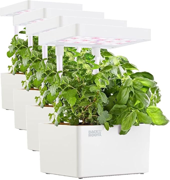 Back to the Roots v1.0 Hydroponic Grow Kit 2022 Model (Pack of 4)