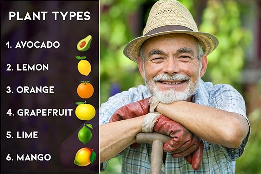 𝐁𝐄𝐒𝐓𝐒𝐄𝐋𝐋𝐄𝐑 6-4-6 Avocado Citrus Tree Plant Food for Outdoor/Indoor Gardening | Quick-Release Nitrogen Fertilizer | Orange Lime Avocado and Lemon Tree Fertilizer (3 Quarts)